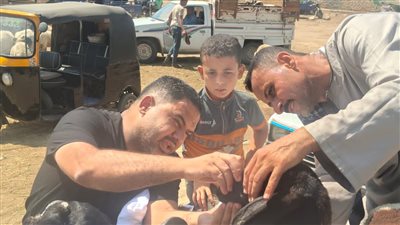 محافظ الجيزة يعلن انطلاق الحملة القومية الثانية للتحصين ضد الحمى القلاعية وحمى الوادي المتصدع
