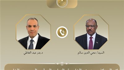 وزير الخارجية يبحث هاتفيًا مع نظيره السوداني تطورات الأوضاع في الخرطوم