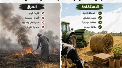 كفر الشيخ تدعو المزارعين للاستفادة الاقتصادية من قش الأرز