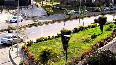 جهاز مدينة 6 أكتوبر يواصل حملة زراعة الأشجار والنباتات 