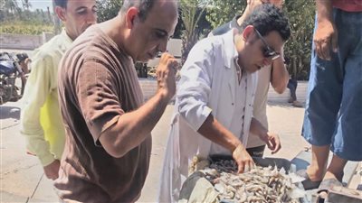 ضبط 1050 كيلو جمبري فاسد قبل بيعه بالفيوم 