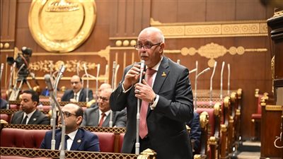 حازم الجندي: زيارة الرئيس الصيني لمصر فرصة لإطلاق مرحلة جديدة في العلاقات بين البلدين 