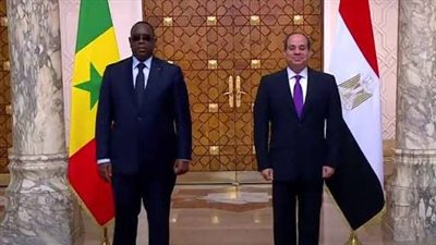 خاص| خبير استراتيجي: العلاقات المصرية السنغالية ركيزة لتعزيز الحضور المصري في أفريقيا
