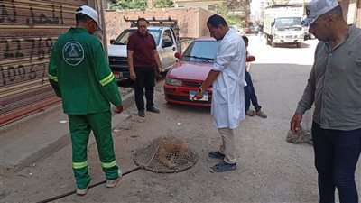 بيطري الدقهلية توجه حملات للتعامل مع الكلاب الضالة بحي غرب المنصورة