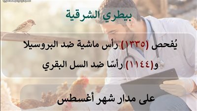 «بيطري الشرقية» يفحص 1335 رأس ماشية ضد البروسيلا و1144 ضد السل البقري