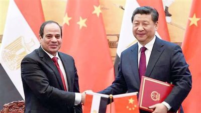 داليا البيلي: زيارة الرئيس الصيني تؤكد ثقل مصر ودورها المحوري إقليميًا ودوليًا