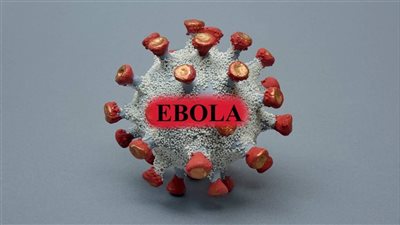 الصحة العالمية: تتبع المخالطين وتأمين الطواقم الطبية أساس مواجهة تفشي إيبولا