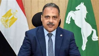لمواجهة السحابة السوداء..الشرقية تجهز 200 موقع لجمع قش الأرز وتوفر معدات زراعية