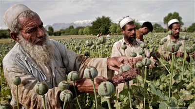 مغامرة تلفزيونية محفوفة بالمخاطر في سوق الأفيون بأفغانستان.. فيديو