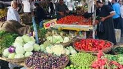 أسعار الخضار بسوق المنيا: البصل بــ 15 والطماطم بــ 25 جنيهًا للكيلو 