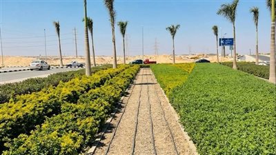 جهاز القاهرة الجديدة يكثف جهوده لتطوير التنمية الزراعية بالتجمع الرابع