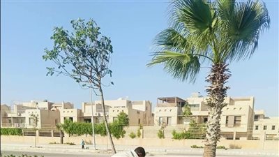 جهاز حدائق أكتوبر يواصل أعمال تشجير جزيرة القرية الكونية بجوار مدينة زويل