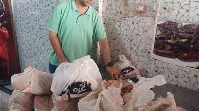 بيطري المنيا: ضبط أكثر من نصف طن لحوم وأسماك غير صالحة
