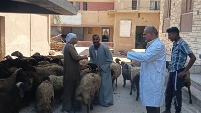ضبط 6886 كجم لحوم غير صالحة للاستهلاك الآدمي بالفيوم