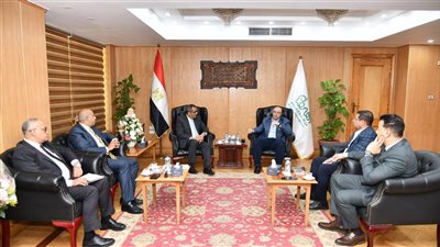 محافظ الفيوم ورئيس جهاز تنمية المشروعات يبحثان تعزيز التعاون في التصنيع الزراعي