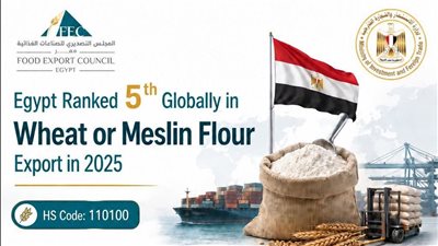 مصر تعزز مكانتها عالميًا في صادرات دقيق القمح بـ 319 مليون دولار