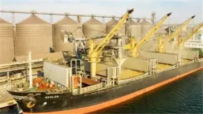 استشاري تنمية: الهجمات بالبحر الأسود تُهدد سلاسل الإمداد وقد ترفع أسعار الحبوب