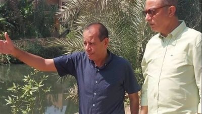 استمرار أعمال صيانة وتنسيق المزروعات بمحاور وقطاعات مدينة 6 أكتوبر