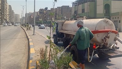 الطريق إلى الجيزة أكثر خضرة.. زراعة أشجار جديدة على المحاور الرئيسية
