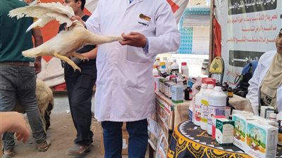 محافظ الدقهلية يتابع أعمال القافلة البيطرية الشاملة بقرية ميت سويد