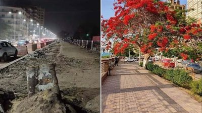 بعد أزمة قطع الأشجار.. أهمية المساحات الخضراء لمواجهة الحرارة