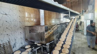 محافظ الدقهلية يتابع انتظام سير العمل العمل بمنافذ بيع الخبز المدعم 
