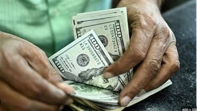 معاشك بكرة بالدولار.. مبادرة مصرية لتأمين مستقبل المصريين بالخارج
