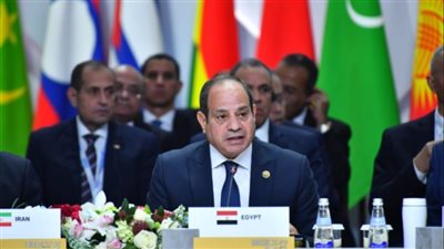 ماذا تستفيد مصر من «بريكس»؟.. الفيومي يجيب