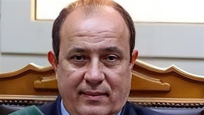 اليوم .. محاكمة 25 متهما في خلية القطامية 