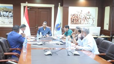 إعداد قاعدة بيانات للمراكب الخاصة العاملة في رحلات مشاهدة الدلافين بالبحر الأحمر