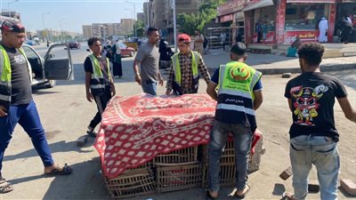 جهاز 6 أكتوبر يواصل حملات الإشغالات بالقطاع الغربي للتصدي لبؤر الفرز والعشوائية