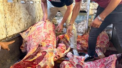 ضبط طن ونصف لحوم ودواجن غير صالحة للاستخدام في حملة بالغربية 