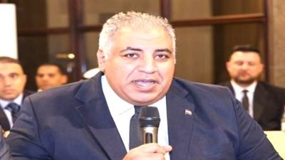 بعد أزمة أراضي بيت الوطن.. “أبو حشيش” يطالب بضمانات حقيقية لحماية المصريين بالخارج