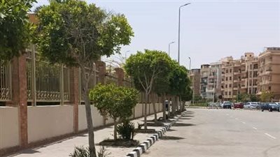 جهاز القاهرة الجديدة يتابع أعمال الزراعة بـ