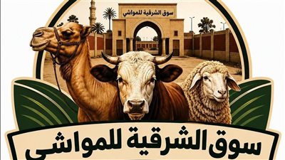 من وراء ترخيص سوق الشرقية للمواشي؟.. مشروع خاص يهدد موارد الدولة