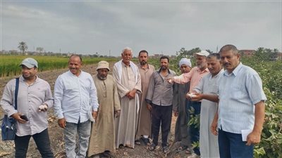 زراعة الشرقية تستعد لحصاد الأرز وتكثف جهودها لمنع حرق القش
