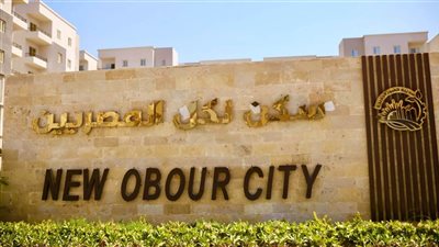 «العبور الجديدة تتزين بالأخضر».. تكثيف أعمال الزراعة لرفع كفاءة المدينة