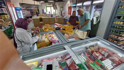 ضبط أغذية مجمدة مجهولة المصدر وغير صالحة للاستهلاك بمدينة الشروق 