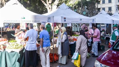 من المنتج للمستهلك.. محافظ الإسكندرية يتفقد سوق اليوم الواحد بزيزينيا