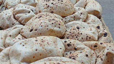 ضبط طن سكر تمويني مدعم و48 كرتونة مواد غذائية غير صالحة قبل طرحها بالسوق السوداء بالمنيا 