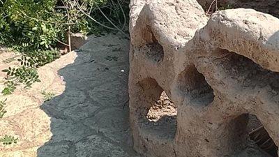 الزراعة تُؤكد سلامة أشجار حديقة الأسماك بالزمالك