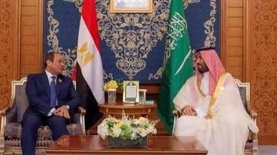 خبير سياسي: الشراكة المصرية السعودية تعزز أمن المنطقة واستقرارها