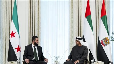 الرئيس الإماراتي يبحث مع نظيره السوري سبل تعزيز التعاون 