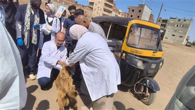 محافظ الدقهلية يتابع أعمال القافلة البيطرية الشاملة بقرية دموه