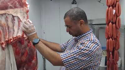 ضبط أكثر من 400 كيلو لحوم ومنتجاته فاسدة بالمنيا 