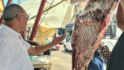 حملات تموينية بكفر الشيخ تضبط سلعًا مجهولة المصدر وتكثف الرقابة