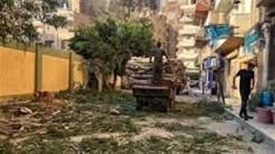 عقوبة تصل لـ5 آلاف جنيه للشجرة.. تحرك عاجل بشأن قناطر إدفينا