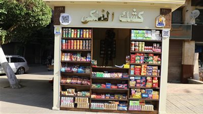 محافظ القاهرة: بدء تطبيق منظومة الأكشاك الموحدة  