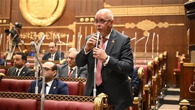 النائب حازم الجندي: توطين الصناعة حجر الزاوية في استراتيجية التنمية الاقتصادية الشاملة