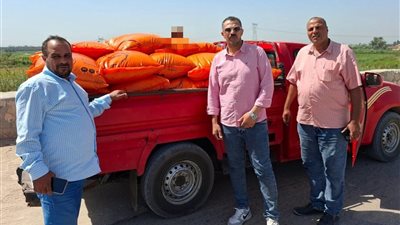ضبط 44 شيكارة سماد يوريا مدعمة و1500 علبة سجائر مجهولة المصدر بالبحيرة